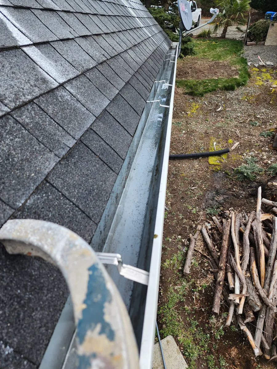 Professional gutter cleaning service
