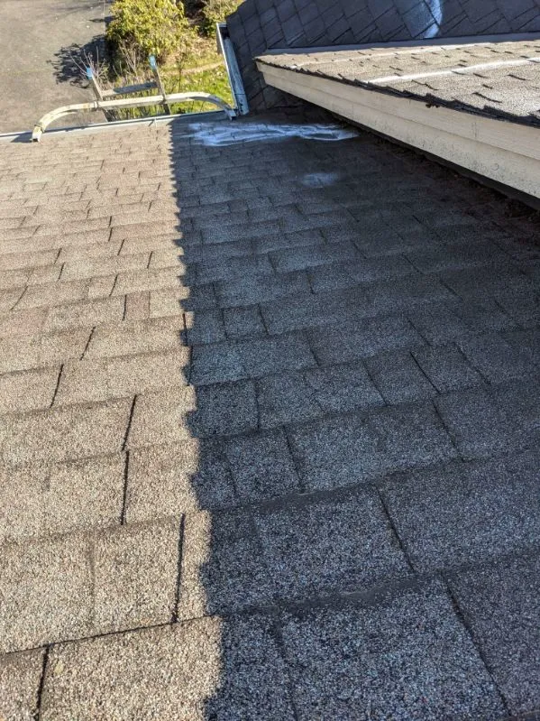 Roof after moss removal
