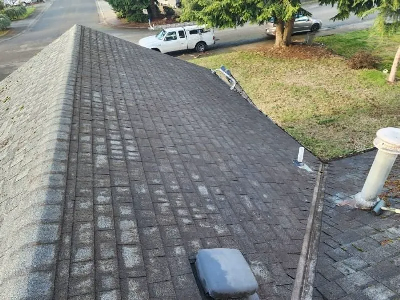 Pristine roof after treatment