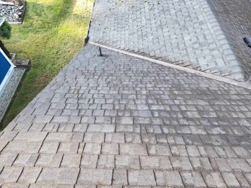 Restored roof after service