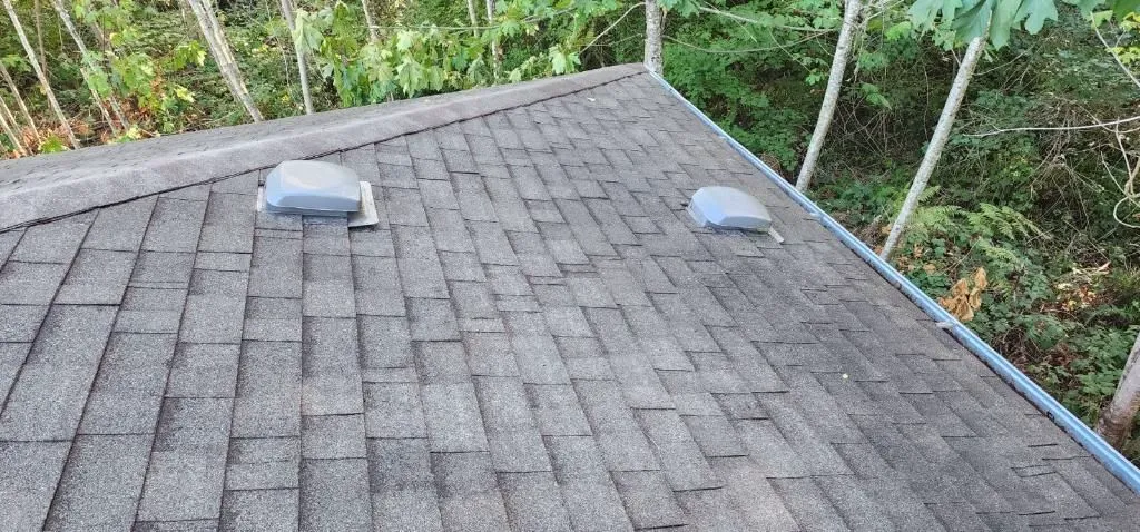 Clean, protected roof
