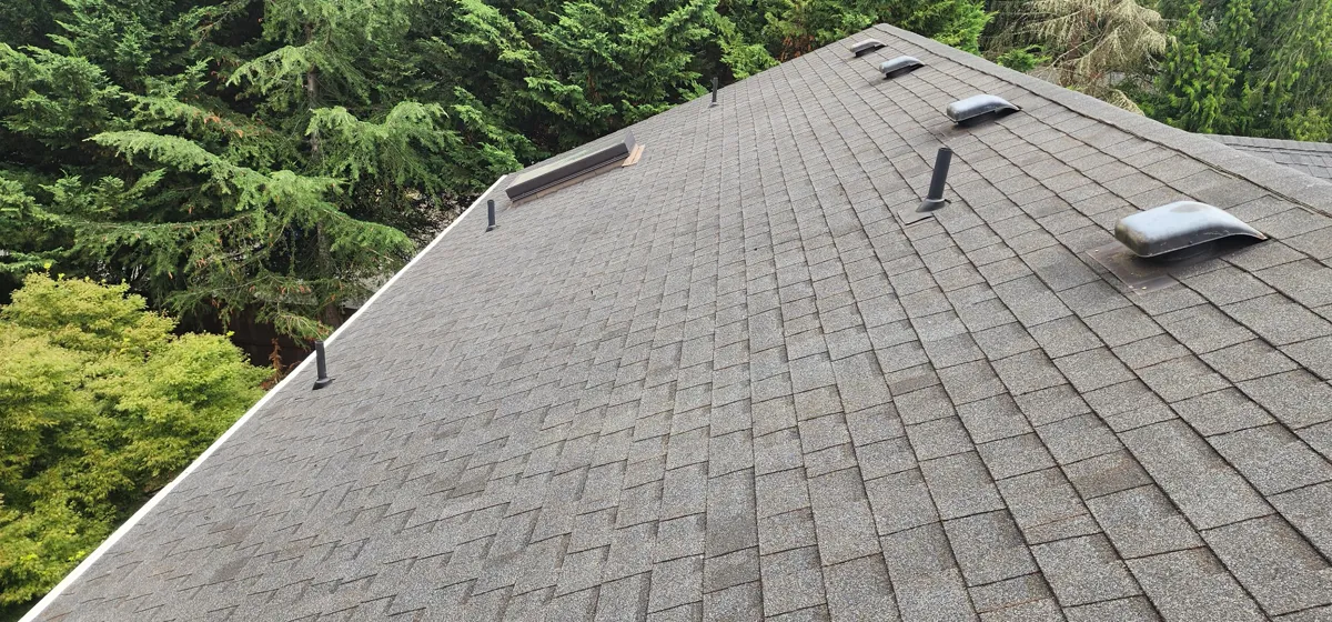 Clean roof after treatment