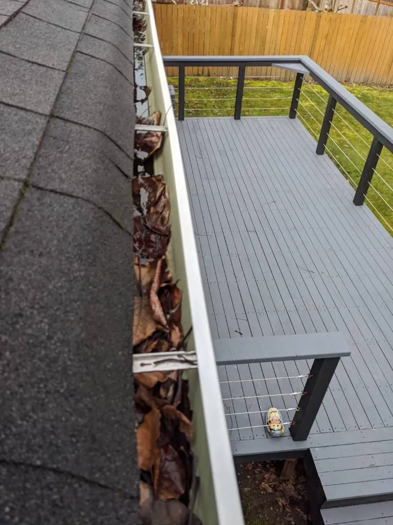 Gutters before cleaning