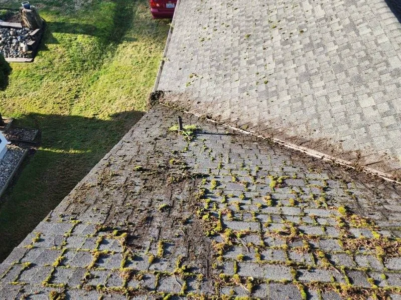 Roof needing moss removal