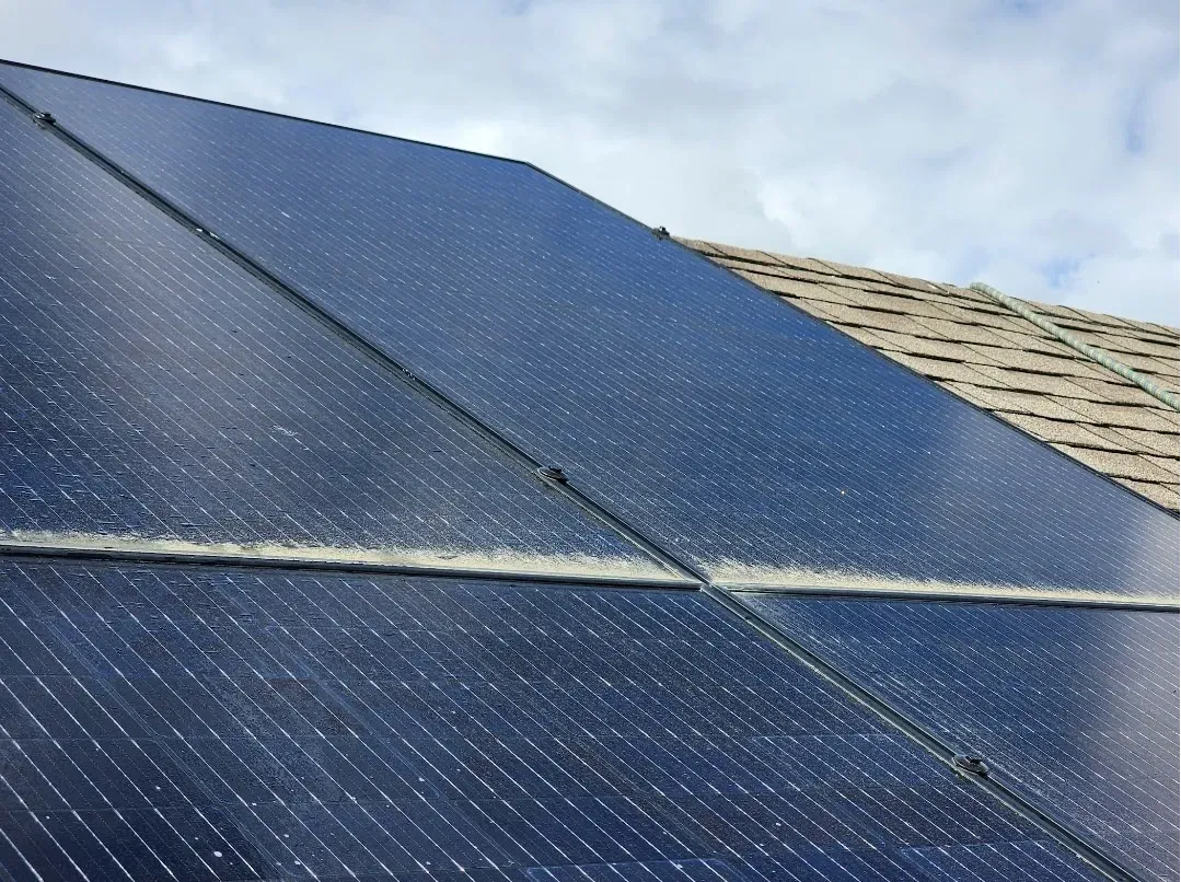Solar panel cleaning service